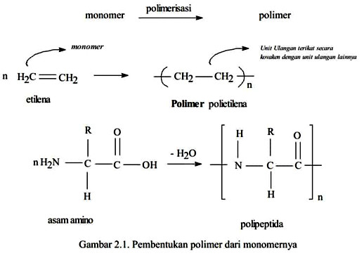 Contoh polimer alam dan polimer sintetis